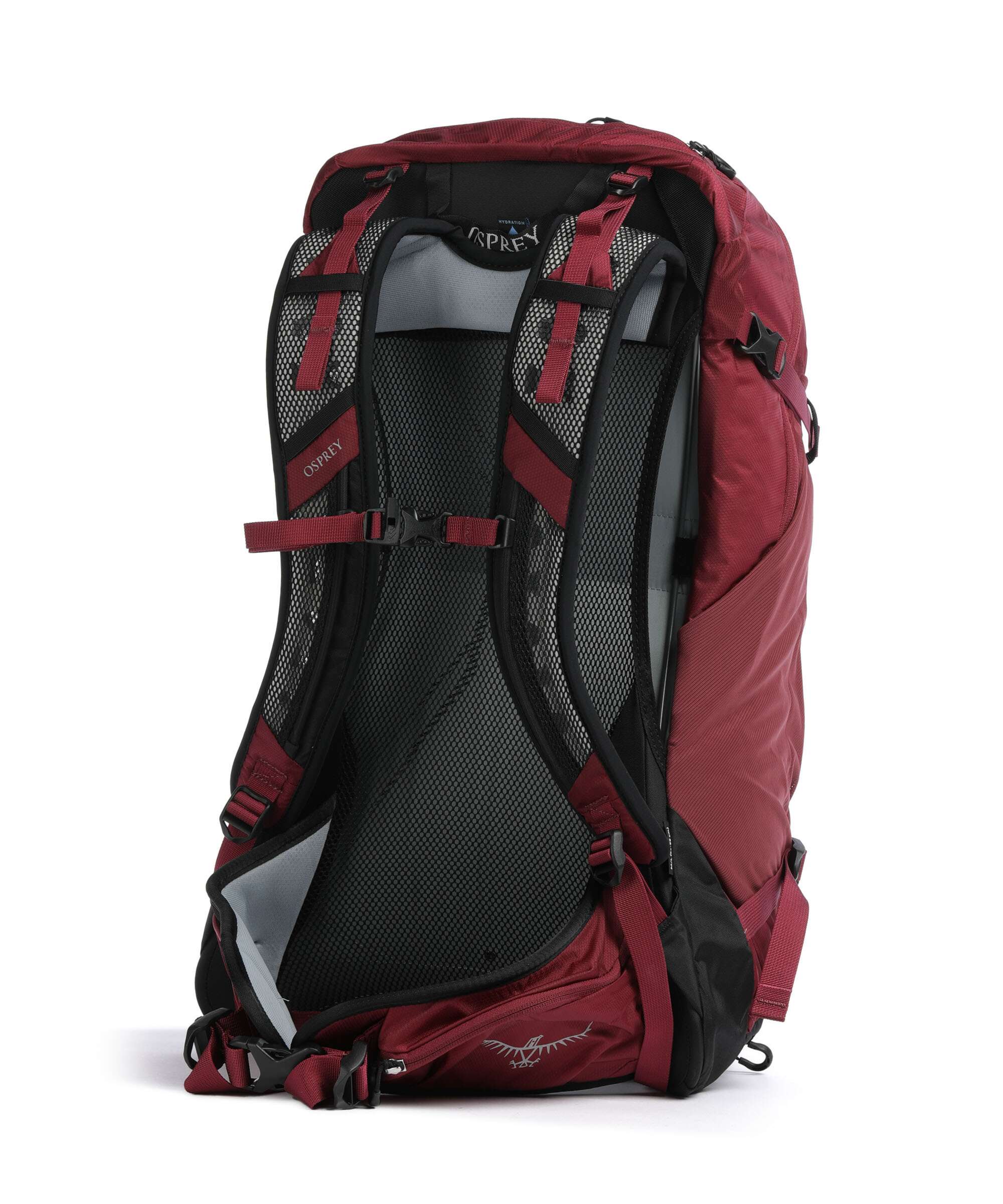Osprey Hikelite 28 M/L Sac à dos de randonnée chameleon/black - Image 2